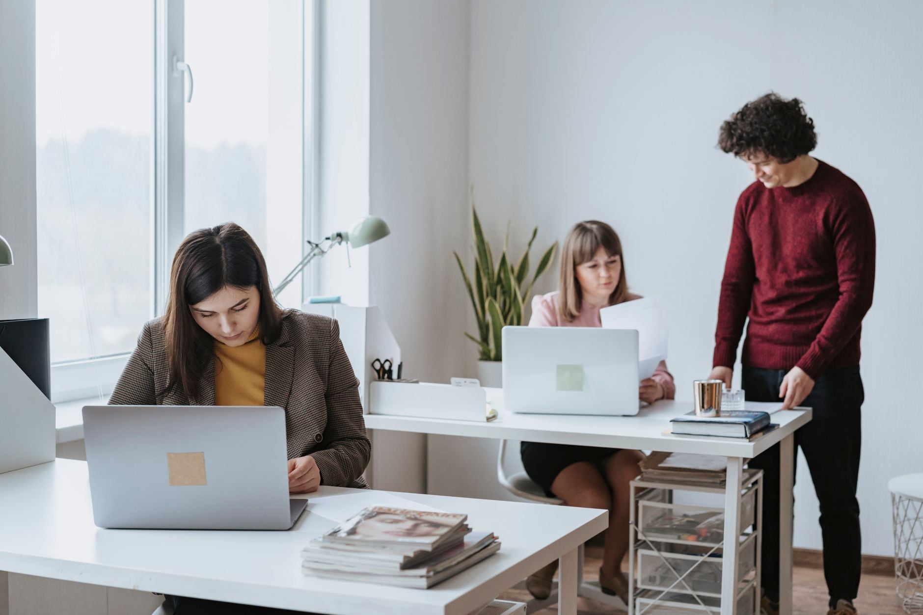 Tres profesionales trabajando en una oficina moderna con escritorios blancos, laptops y plantas verdes junto a ventanas grandes.